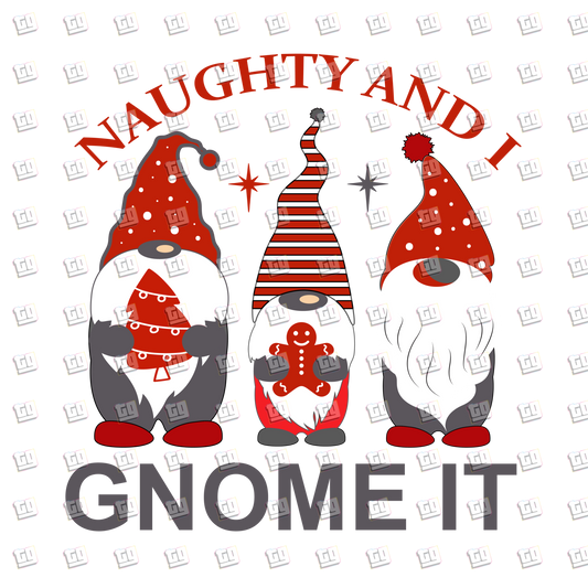 Naught And I Gnome It - Holidays - DTF Transfer