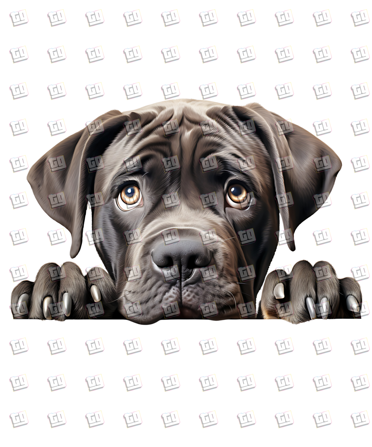 Cane Corso Dog Peeking - Dog - DTF Transfer