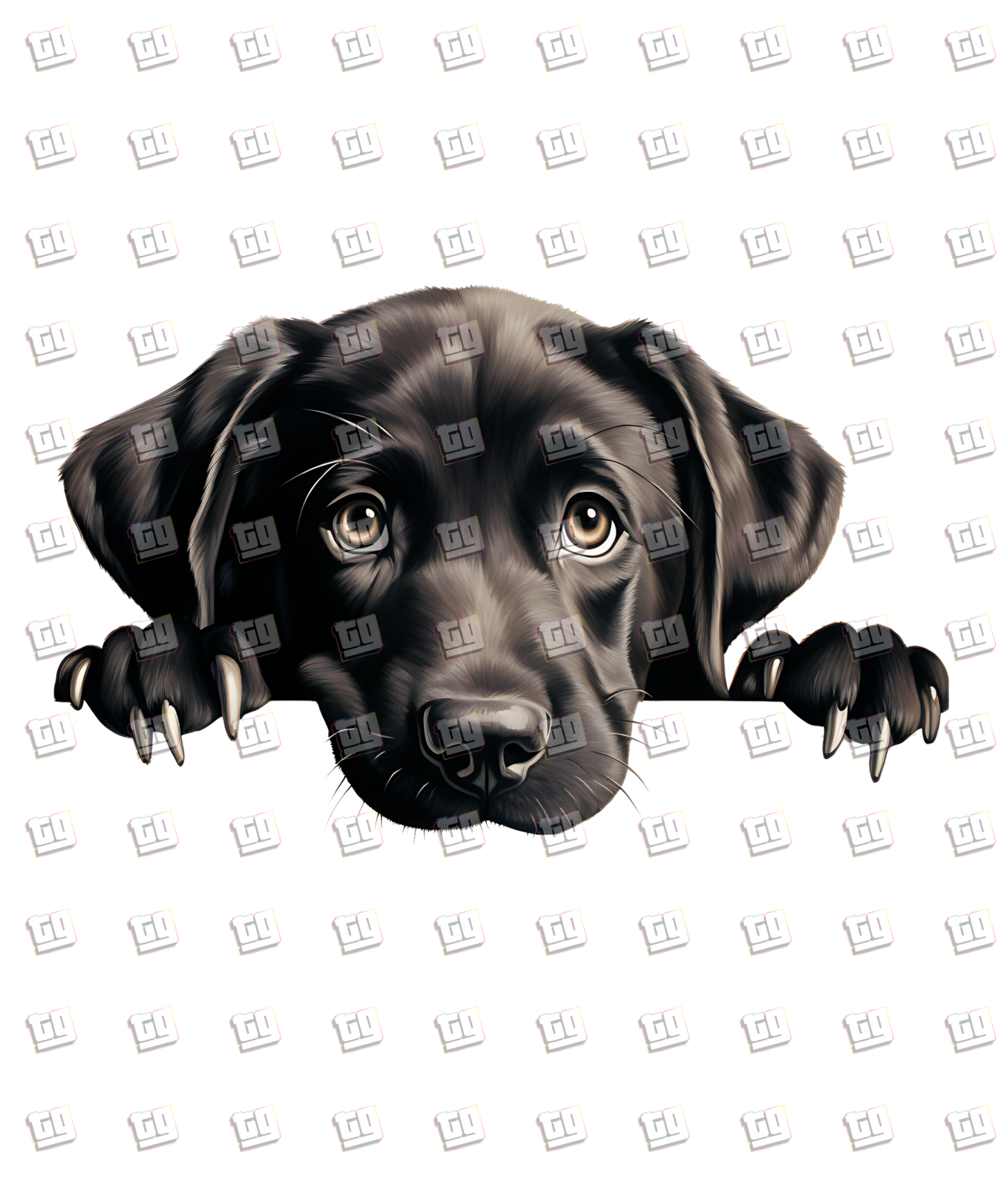 Labrador Retriever Peeking - Dog - DTF Transfer